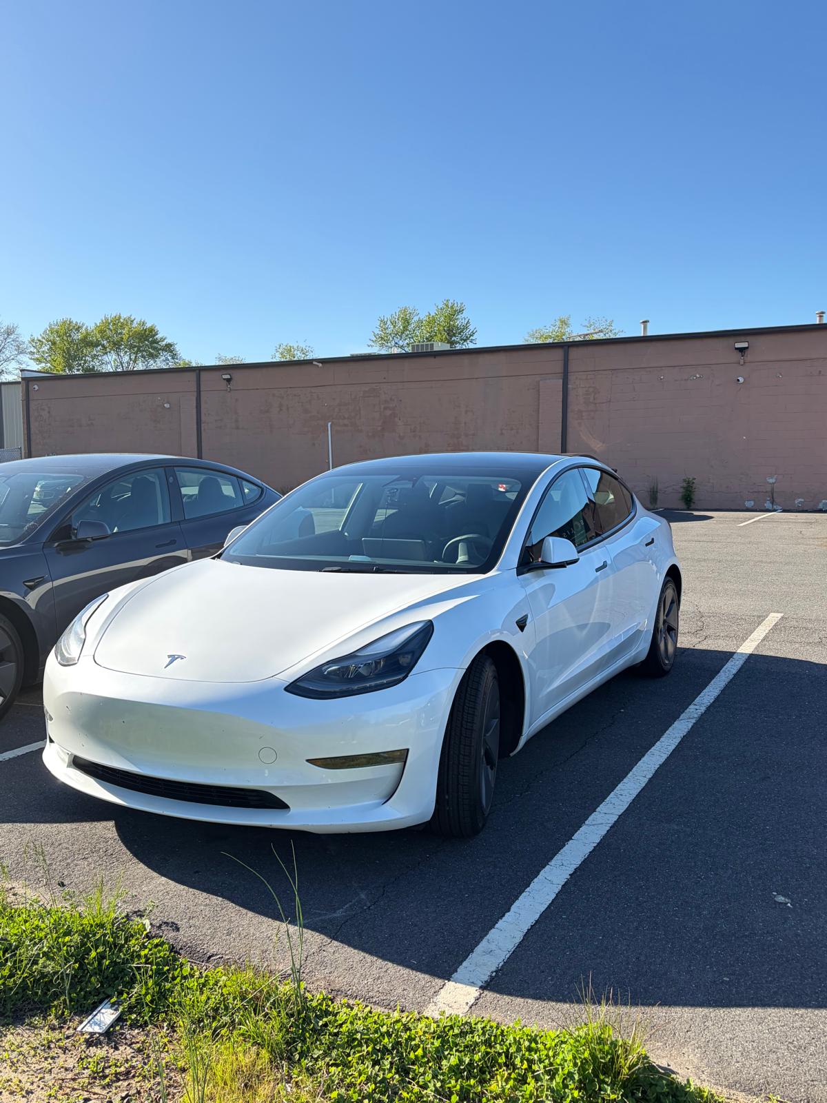 2023 TESLA Model 3 available for long-term rental