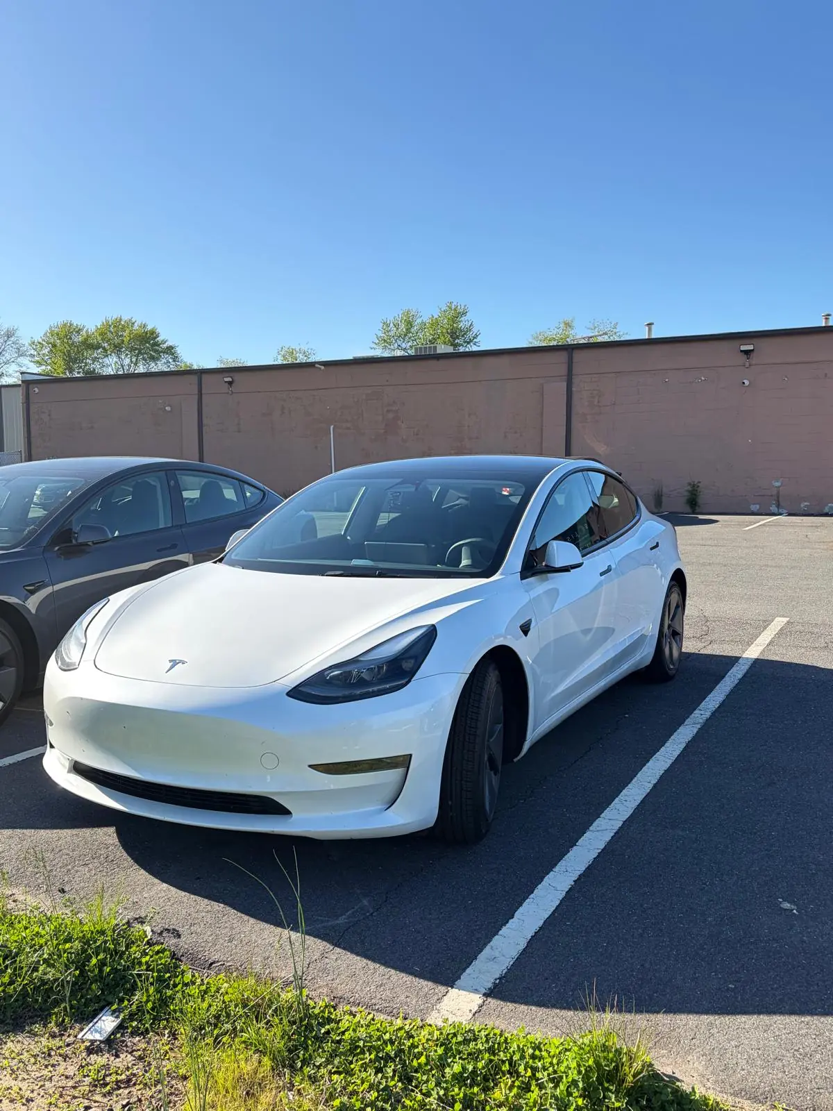 2023 TESLA Model 3 available for long-term rental